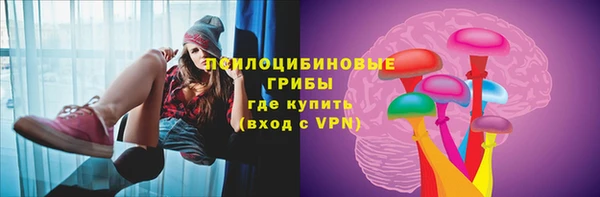 спиды Абаза