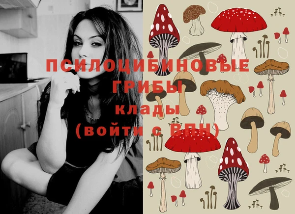 спиды Абаза