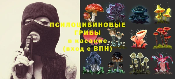 мяу мяу мука Абинск